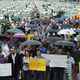 Image for article titled Anti-Uber Protests Promptly Blow Up In Taxi Drivers' Face